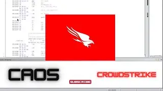 Caos en 2024 // Crowdstrike y windows...