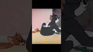 Tom laughing😂my cat stole the show😻✨#Shorts #TomAndJerry #CuteCat #FunnyCat #CatLovers #ViralShorts