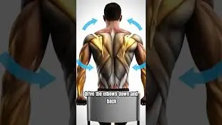 Build a Bigger Back at Home (No Gym Needed)