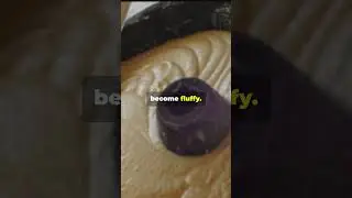 The Science of Baking a Cake in 60 Seconds! #baking #cooking #cakes #dessert #sweets #science