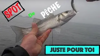 Coin de p&ecirc;che en BRETAGNE 2020 : en immersion avec moi, c'est vraiment un cadeau