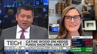 Cathie Wood Important Interview, response to Michael Burry, inflation vs deflation