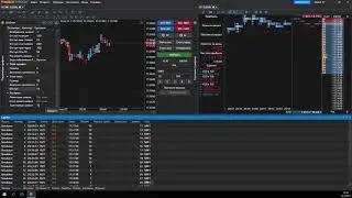 Tiger.Trade: Окно Позиции