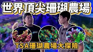 【藍箱水族】美國精品珊瑚農場~大探險！Top Shelf Aquatics繁殖後場大公開！頂尖珊瑚繁殖的教科書 Deep tour in TSA Coral farm with Frank(CC)
