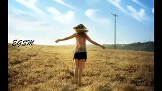 hummingbird│Lost Frequencies 1105502056