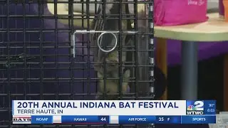An educational journey at Indiana Bat fest