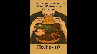 Entre los animales, todos son comida? Hechos 10, vision de Pedro.