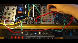 Modular Sound: Behringer SURGES purrs.