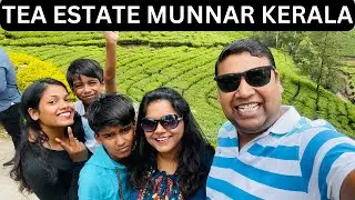 Munnar Travel Guide || Munnar Tea Estate Kerala || Munnar Tourist Places