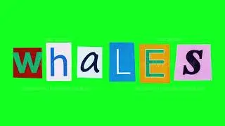 Whales title created as collage from colorful magazine cut letters moving in funny loop animation