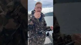 Wallerdrill am Edersee, Angelspa&szlig; am Edersee #fishing #angeln #gofishing #waller #wels