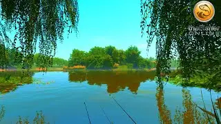 Very Nice Burbot Spot | Don River | Fisher Online | Ep 79
