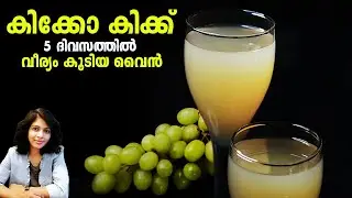 5 ദിവസത്തിൽ ഏറ്റവും വീര്യം കൂടിയ പച്ചമുന്തിരി വൈൻ | Green Grape Wine | Strong Wine | Grape wine