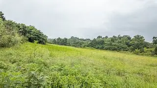 Vacant land for For Sale | White River AH