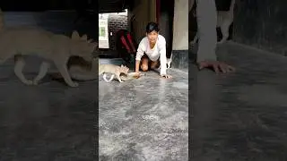 Mae Mae 🤣😂 |#shorts #viral #trendingshorts