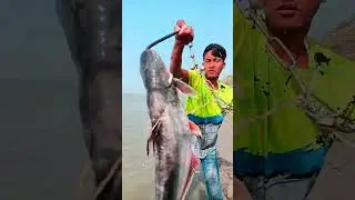 Amazing Fishing Catch | Big Fish Caught by Smart Technique | Fishing Video