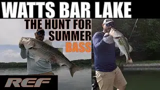 WATTS BAR LAKE: Weird Day of Post Spawn Largemouth BASS Fishing