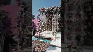 outdoor event Rayal #viral #video #videoshots #event