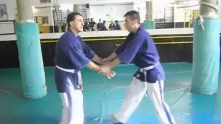 YOSEIKAN BUDO - F.C.K.B.M.T.
