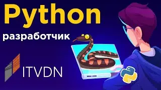Что нужно знать Python разработчику? ➤ Как выучить Python? Как стать Junior Python Developer?