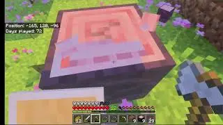 Bedrock Realm! | Twitch VOD