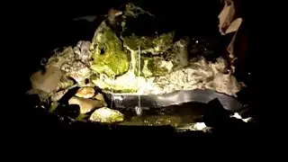 Relaxing Fish Pond | Calming Waterfall Sounds Live Stream