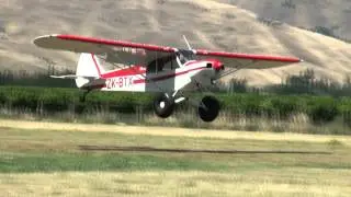 Healthy Bastards Bush Pilots Champs