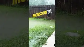 Monsoon in TX today 🌧️ #rain #rainsounds  #reels #shorts #interesting #lakeconroe #storm #weather