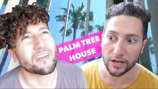 Palm Tree House