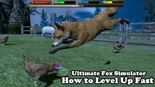Ultimate Fox Simulator Gameplay : How to Level Up Fast