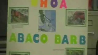 Olivia Whitten Presentation on The Wild Horses of Abaco.