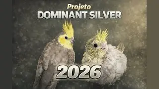 PROJETO DOMINANT SILVER 2026 🚀 O FUTURO DESSA MUTAÇÃO COMEÇA AGORA