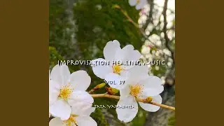 Improvisation Healing Music #344