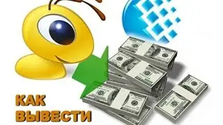 Как выводить Вебмани и принимать чеки через Ecoin? Обзор, отзыв