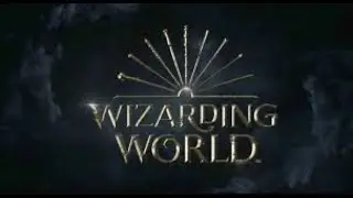 Harry Potter Wands - Kinds of the Wands Wood