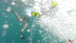 Galapagos Snorkel Trip Around Le&oacute;n Dormido aka Kicker Rock