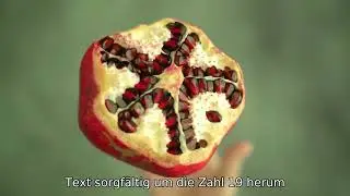 Das numerische Wunder von Bismillah im Koran #German