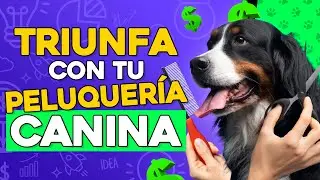 COMO INICIAR Una PELUQUER&Iacute;A CANINA Paso a Paso 🦴️