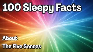 100 Facts About The Five Senses &mdash; Fall Asleep to Biology