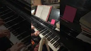 jan 22 on learning piano until i can play the pipe organ #piano #music #pianolesson #bucket