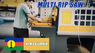 Multi Rip Saw Machine Wood Saw Machine For Square Wood Test Smoothly for New Caledonia Customer