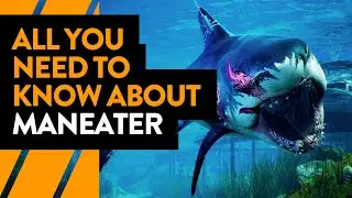All you need to know about Maneater | Preview