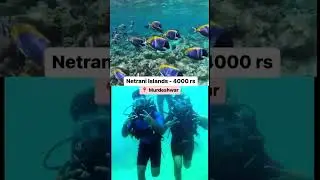 Cheapest Scuba Diving Places in India