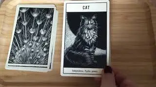 Untamed Spirit Animal Oracle ~ Walkthrough