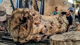 The Power of Heavy Machinery in Wood Processing