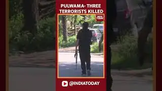 Three Terrorists Killed In Encounter In Pulwama District Of Jammu And Kashmir: Police