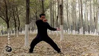 Chen Style Tai Chi Old Frame One (Chen Zefeng)陈泽峰陈氏太极拳老架一路完整版