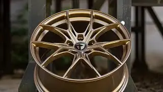 Tomason Wheels - TN29 - Bronze