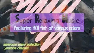 Super Relaxing Music with swimming koi fish video