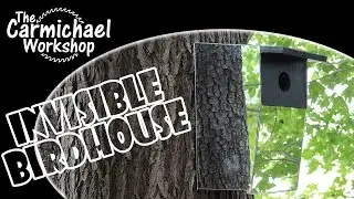Invisible Birdhouse (2014 Summers Woodworking Contest Entry)